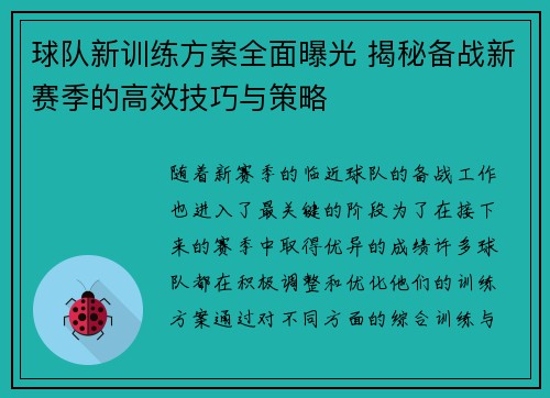 球队新训练方案全面曝光 揭秘备战新赛季的高效技巧与策略
